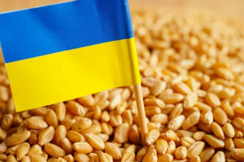 Угорщина продовжить заборону на імпорт сільгосппродукції з України, запроваджену ще урядом Орбана