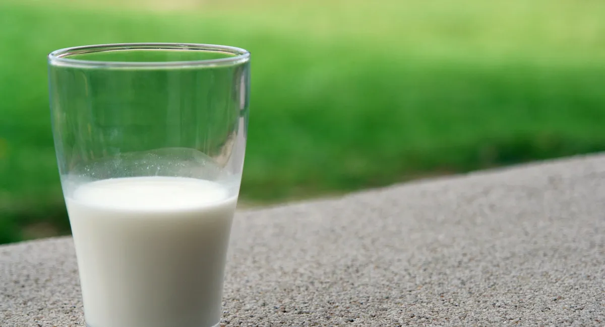 Названы топ-5 молочных напитков, которые реально укрепляют здоровье - today.ua