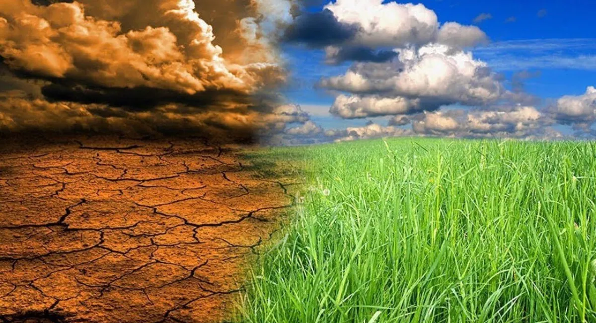 Новые Чернобыли: урожаи в Украине могут стать токсичными на десятилетия - today.ua