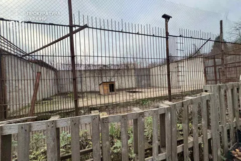 Хмельницьким блукає левиця: до пошуку тварини залучені дрони ДСНС