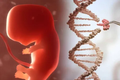 Дети на заказ: стартап в США хочет "переписывать" генетику эмбрионов