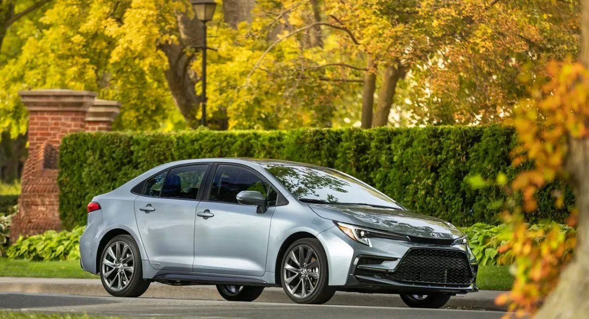 Удивляют низкой ценой и оснащением: назван ТОП-5 лучших бюджетных авто 2025 года - today.ua