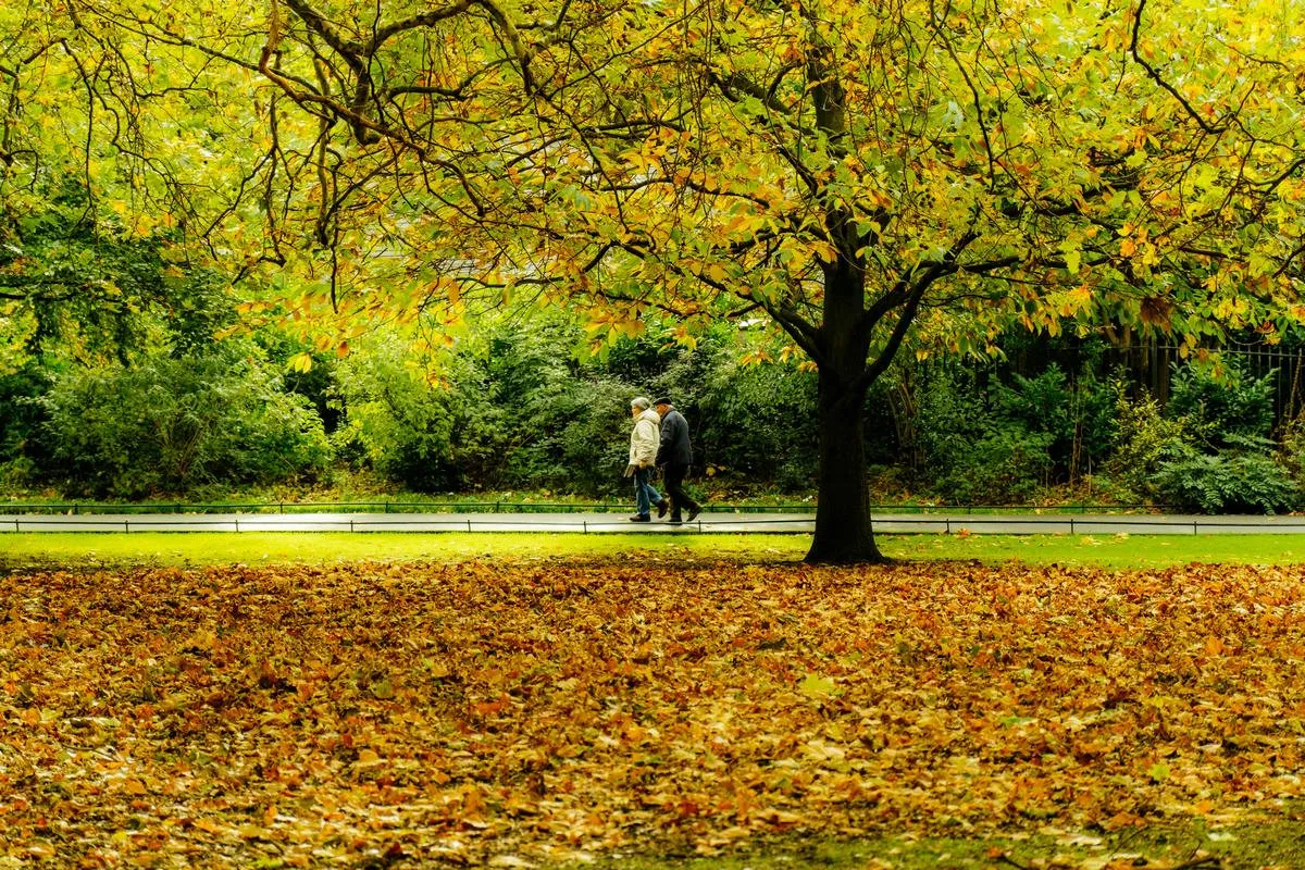 Секреты здорового мозга после 50: как снизить риск деменции и болезни Альцгеймера - today.ua