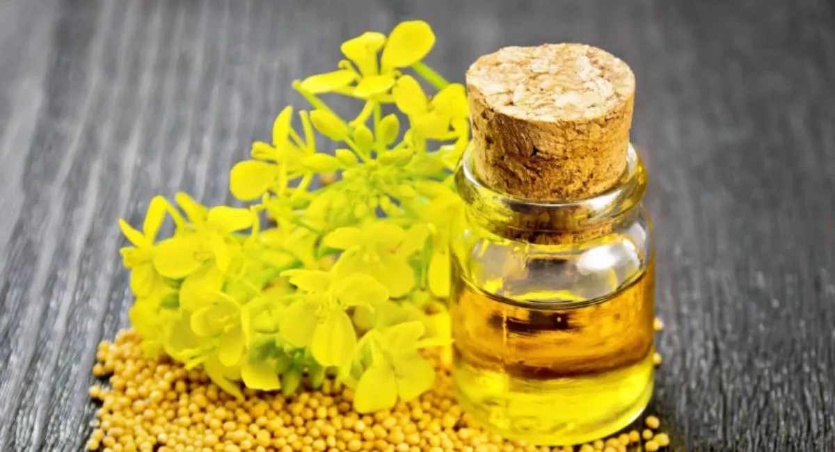 Суперпродукт для сердца: почему европейцы все чаще заменяют оливковое масло на рыжевое - today.ua