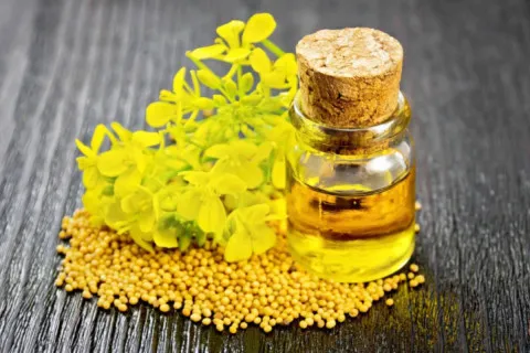 Суперпродукт для сердца: почему европейцы все чаще заменяют оливковое масло на рыжевое