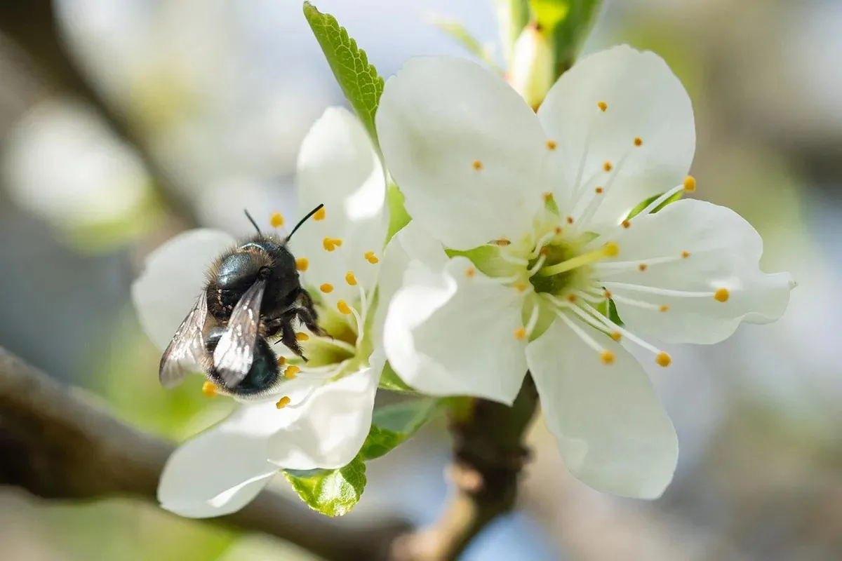 Учёные предупредили о стремительном сокращении запасов еды на планете: названа неожиданная причина - today.ua