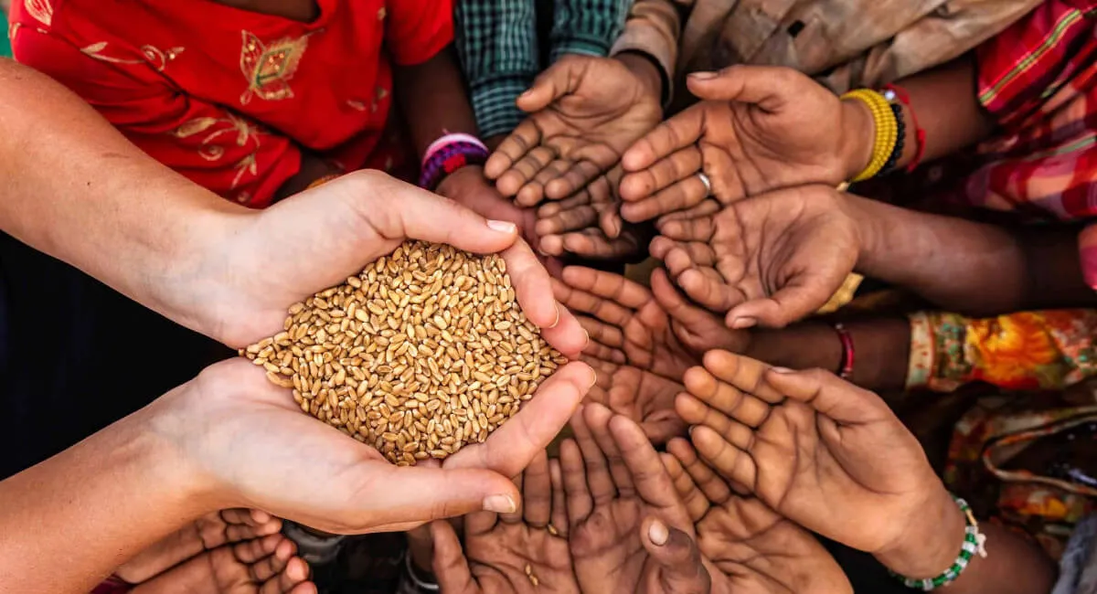 Учёные предупредили о стремительном сокращении запасов еды на планете: названа неожиданная причина - today.ua