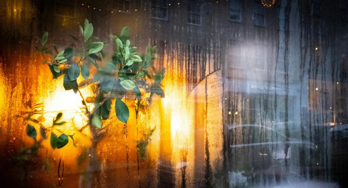 Ніяких запотілих вікон і мокрих відкосів: як позбутися конденсату без особливих витрат - today.ua