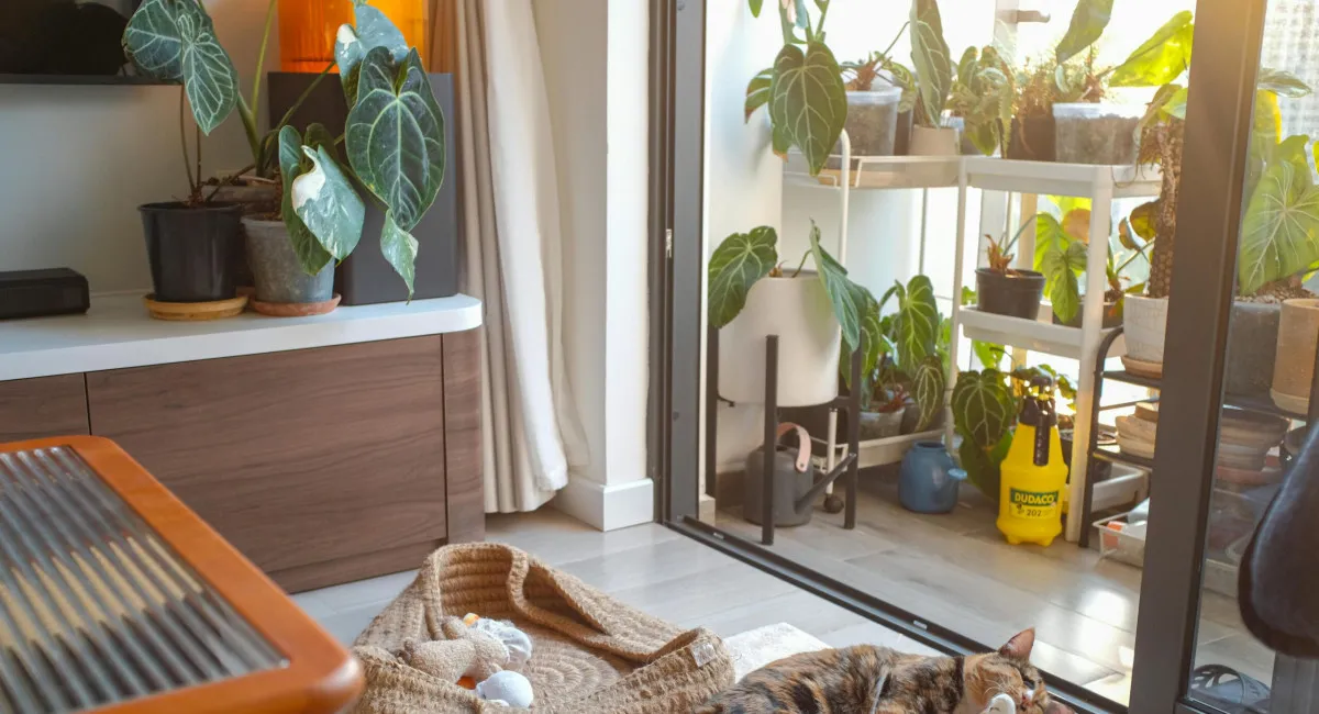 Многих украинцев лишат права продавать или передавать по наследству свою квартиру: что скрывает в себе новый закон - today.ua