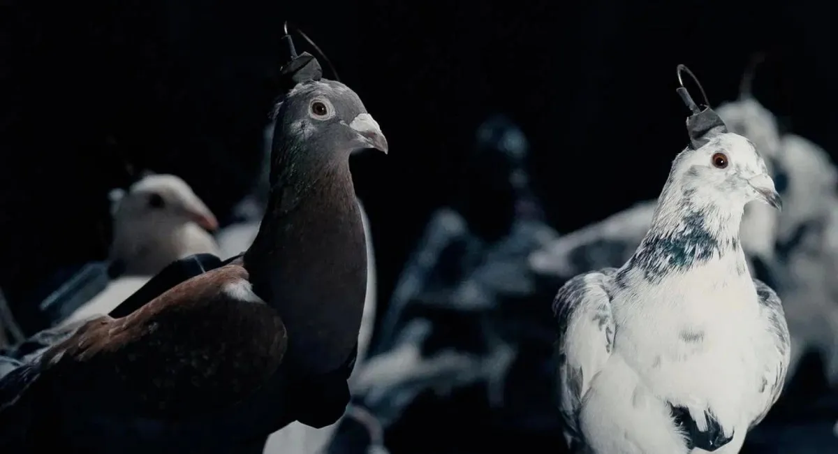 Биодроны PJN-1: что известно о новой причудливой технологии россиян - today.ua