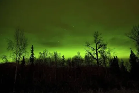 Небо над Великими озерами у США раптово спалахнуло зеленим сяйвом: що кажуть у NASA про загадкове явище