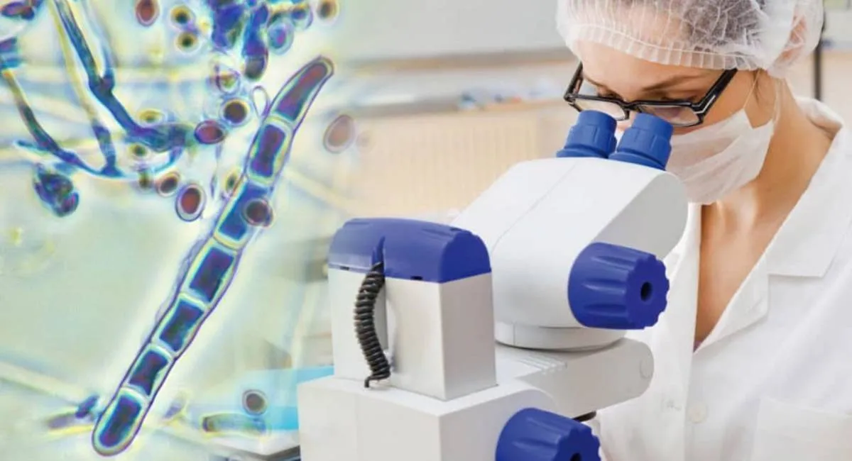 Устойчивый к лекарствам и чрезвычайно заразный: в Европе распространяется новый супергрибок - today.ua