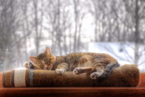 Уже завтра — зима: в этом году декабрь удивит украинцев необычной погодой