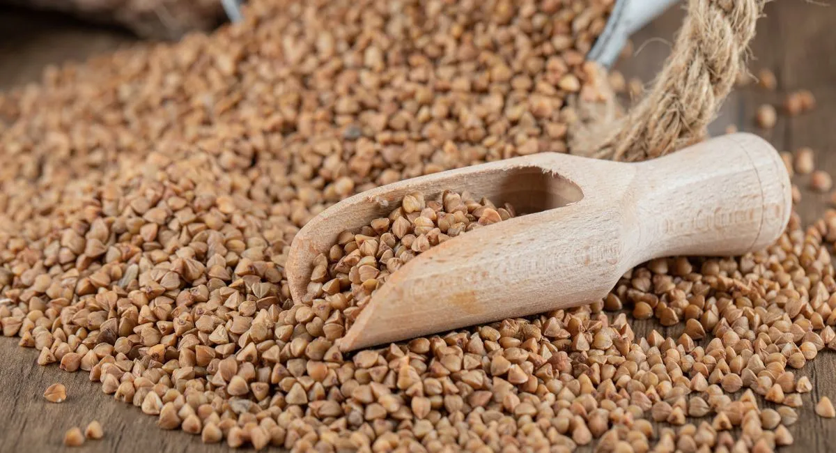 Гречка в Україні знову буде золотою: чому зростає ціна на популярну крупу - today.ua