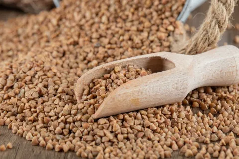 Гречка в Україні знову буде "золотою": чому зростає ціна на популярну крупу