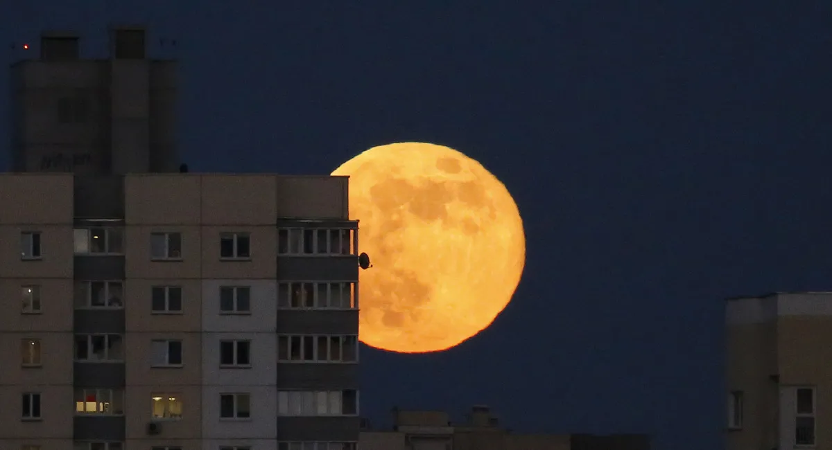 “Настоящее небесное шоу”: над Украиной взойдёт самая большая Суперлуна за шесть лет - today.ua