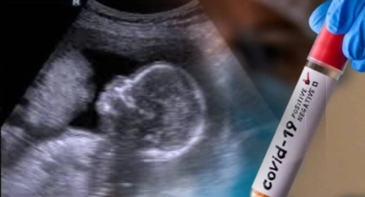 COVID во время беременности может влиять на мозг ребенка — ученые предупреждают об опасной связи - today.ua