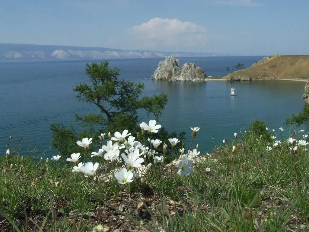 Пока Россия здесь воюет с Украиной, её Дальний Восток стремительно оккупирует другая страна Пока Россия здесь воюет с Украиной, её Дальний Восток стремительно оккупирует другая страна - today.ua