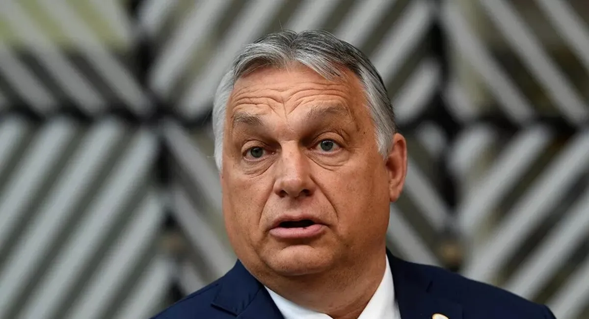 Несподівані союзники Орбана: хто ще може завадити Україні на шляху до вступу в ЄС - today.ua