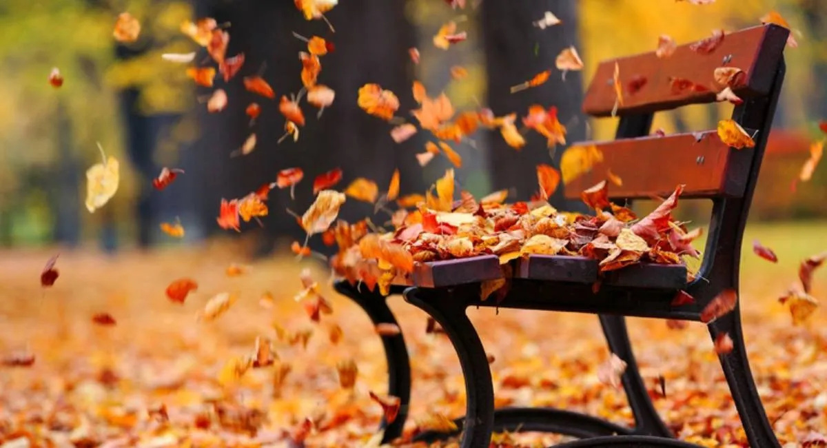 Вихідні на погодних контрастах: де очікуються дощі та холод - today.ua