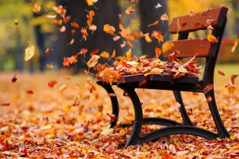 Погода на выходных 15–16 ноября: синоптики назвали регионы, где ожидаются заморозки