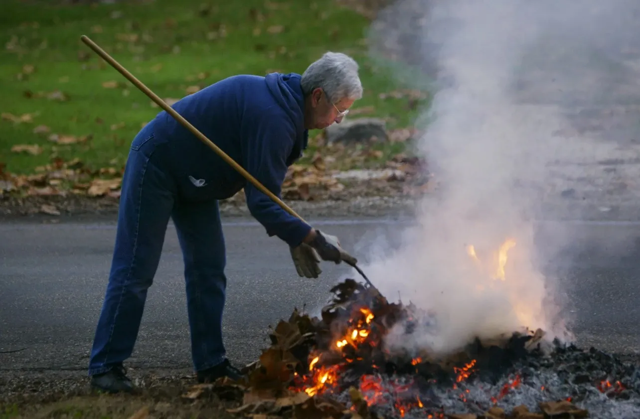 Чому не можна спалювати опале листя: українцям варто знати про наслідки розведення багаття Чому не можна спалювати опале листя: українцям варто знати про наслідки розведення багаття - today.ua