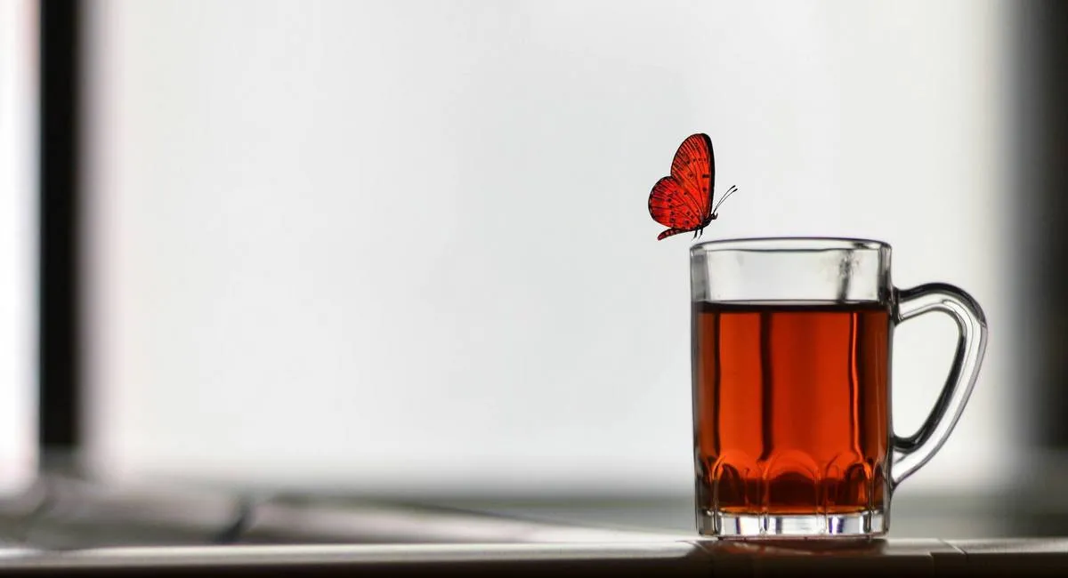 Аркуш паперу допоможе приготувати ідеальний чай: навіщо занурювати його в чашку з напоєм - today.ua