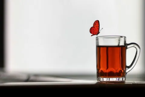 Аркуш паперу допоможе приготувати ідеальний чай: навіщо занурювати його в чашку з напоєм