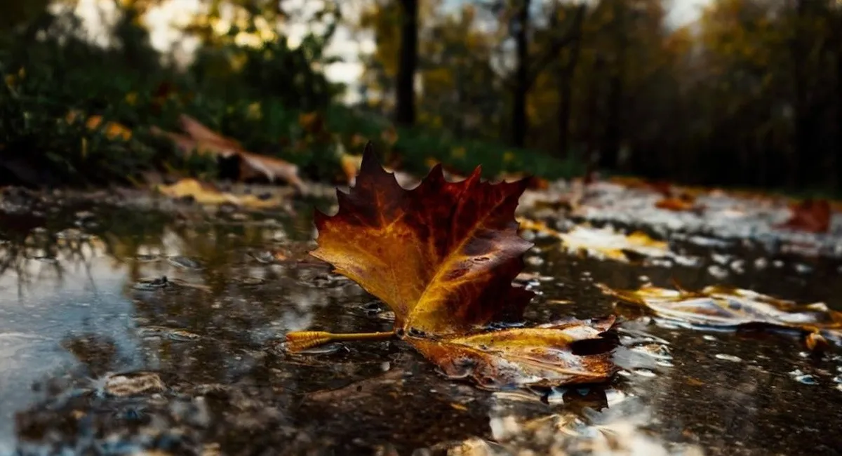 Осенняя непогода в Украине: синоптики рассказали, когда утихнут дожди и грозы - today.ua