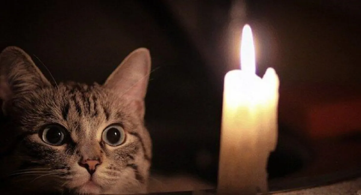 24 октября в некоторых регионах Украины будут применяться графики почасовых отключений света - today.ua