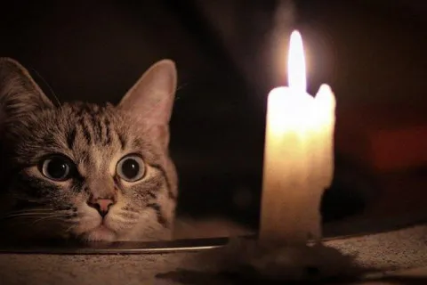 24 октября в некоторых регионах Украины будут применяться графики почасовых отключений света