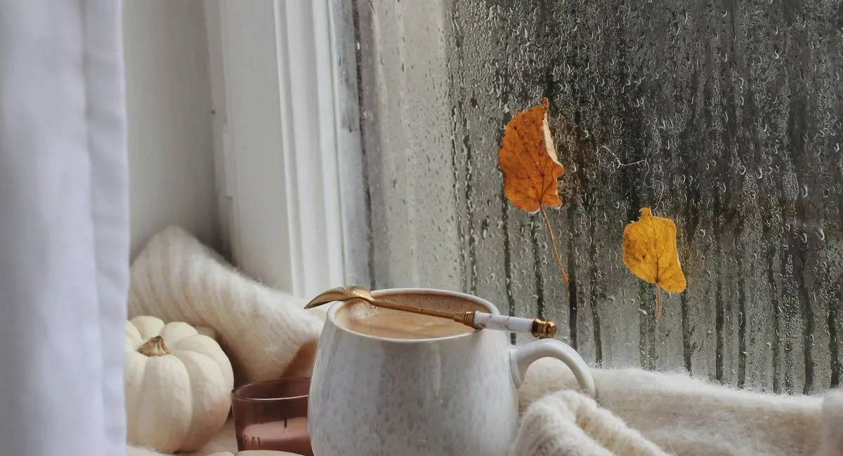 Забудете про конденсат на вікнах: які доступні засоби допомагають боротися з вологою - today.ua