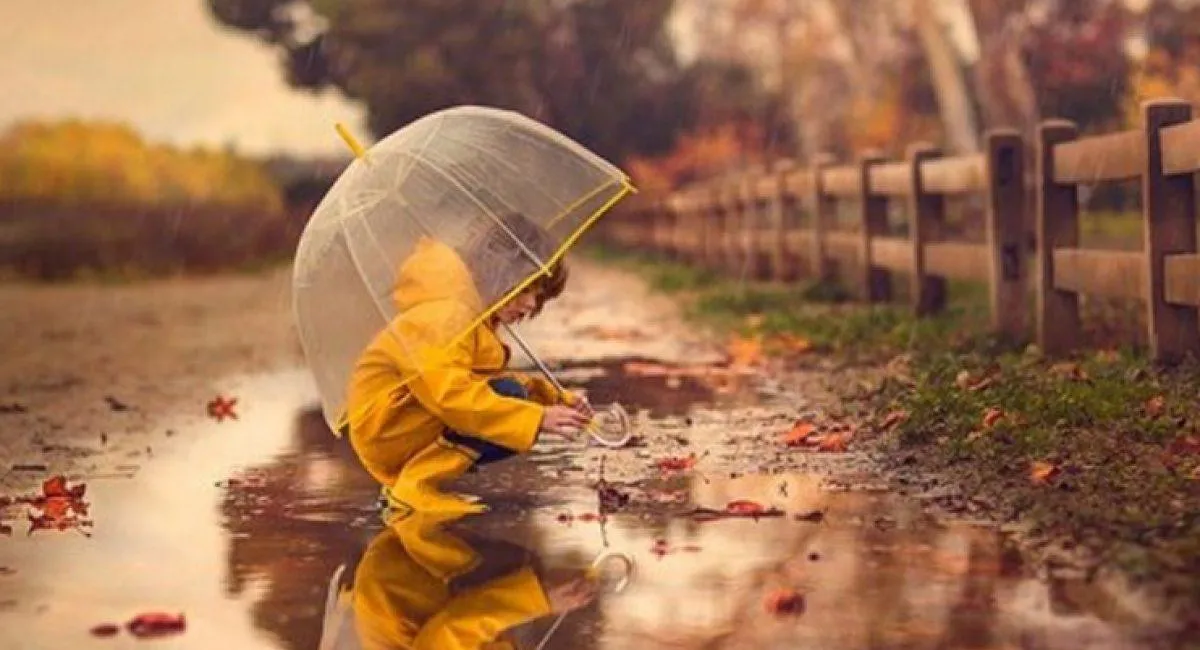 Погода в Украине 13 октября: осенние дожди, порывистый ветер и заморозки уже на подходе - today.ua