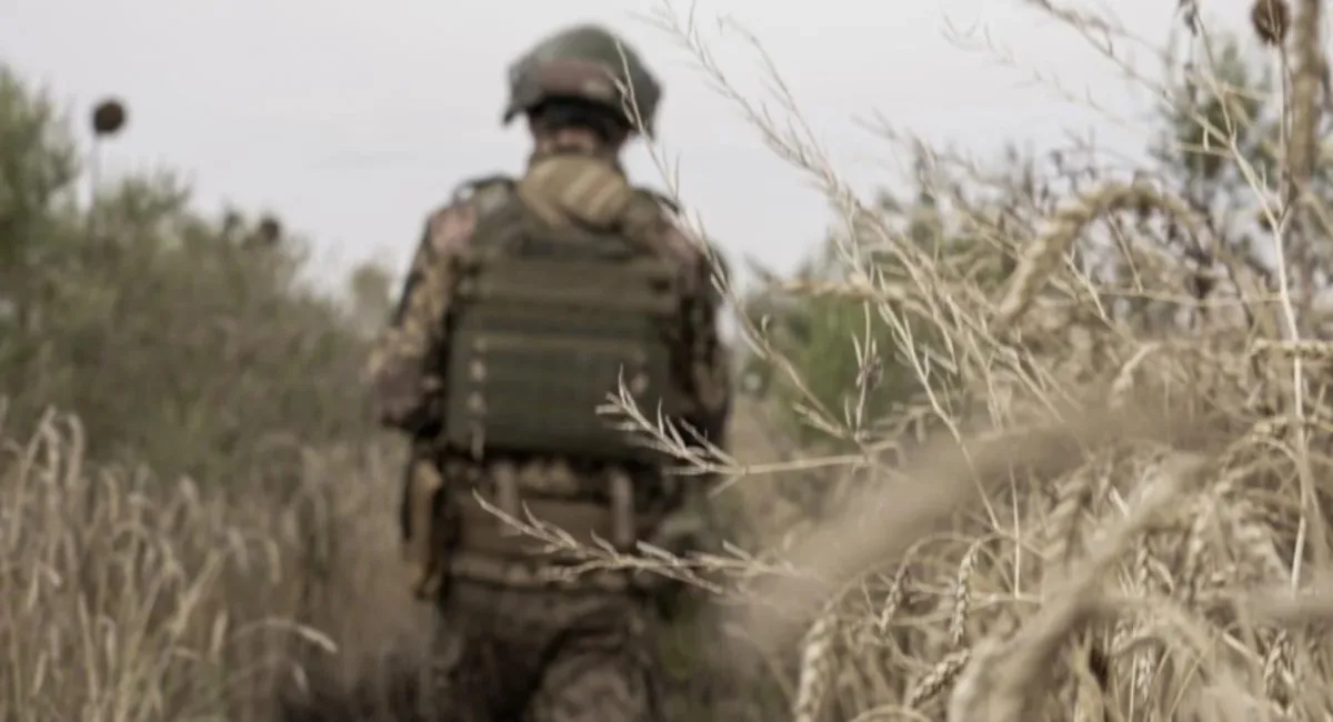 Генпрокуратура опубликовала шокирующую статистику СЗЧ: боевой командир дал совет, как её сократить - today.ua