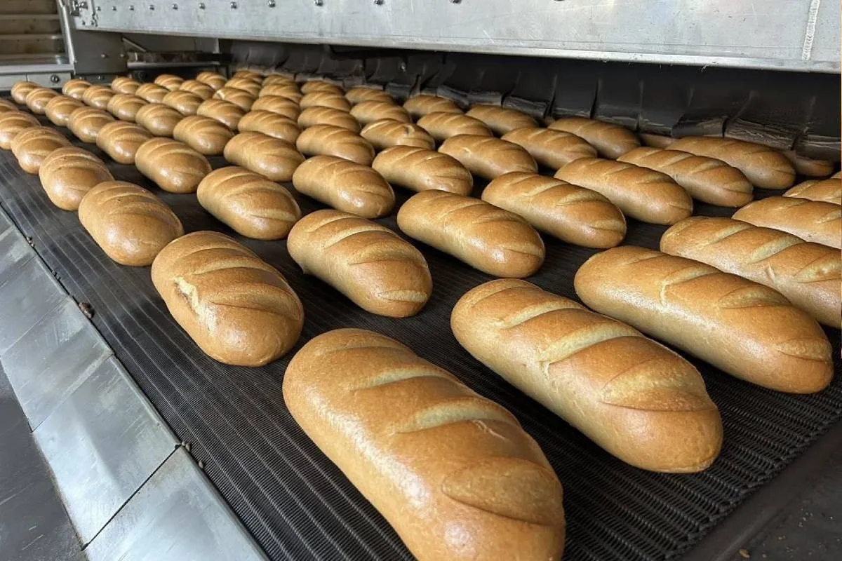 Високий врожай не стримає ціни на хліб: експерт прогнозує нове подорожчання - today.ua