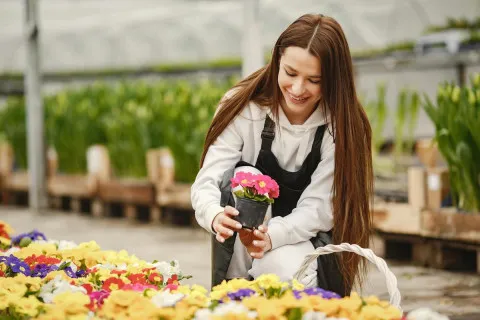 Как защитить комнатные растения от холодов: простые и эффективные советы