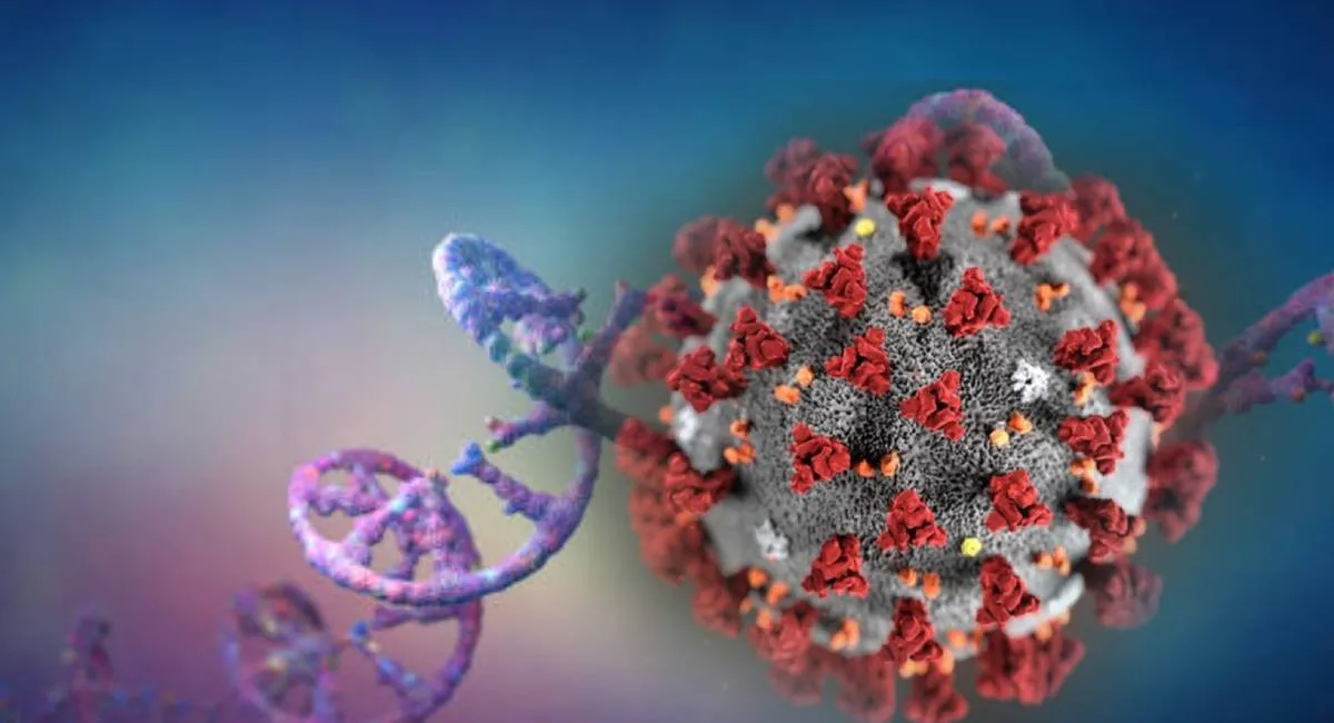 COVID-19 может изменить человечество: новое исследование выявило влияние вируса на гены потомков - today.ua