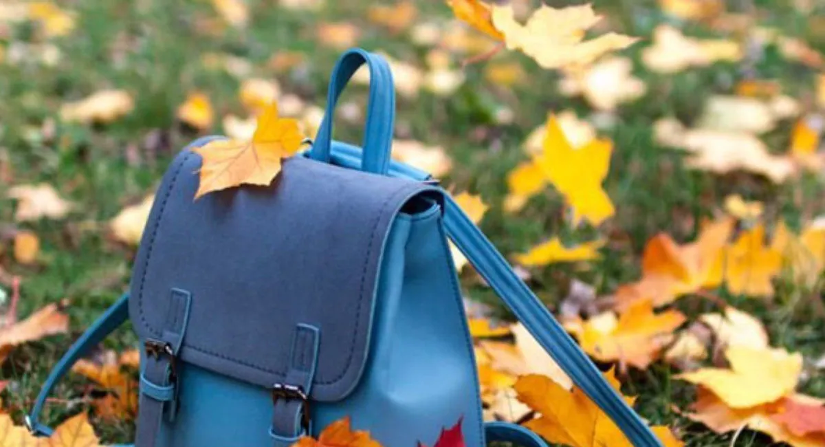 Перенесення осінніх канікул на зиму: в деяких регіонах батьків уже попередили - today.ua