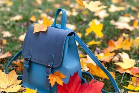 Перенос осенних каникул на зиму: в некоторых регионах родителей уже предупредили