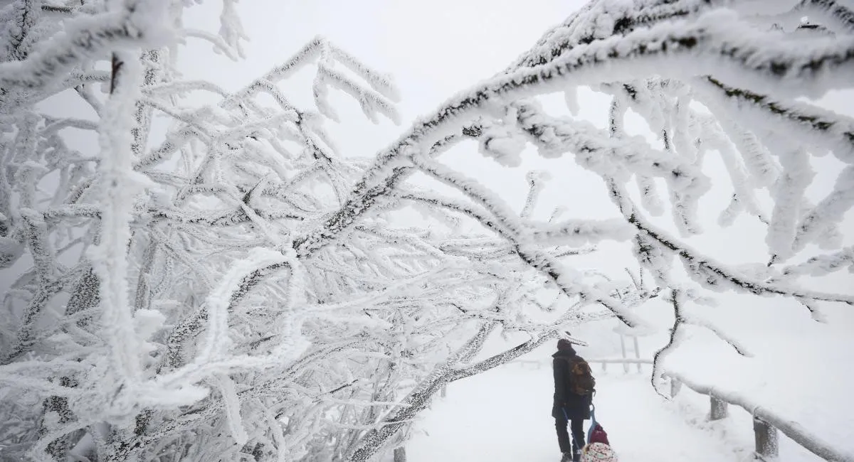 В Україні прогнозують арктичну зиму: чи дійсно слід готуватися до лютих холодів - today.ua
