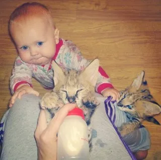 Материнство, що змінило погляд на дикі інстинкти: історія Світлани Станіславської Материнство, що змінило погляд на дикі інстинкти: історія Світлани Станіславської - today.ua