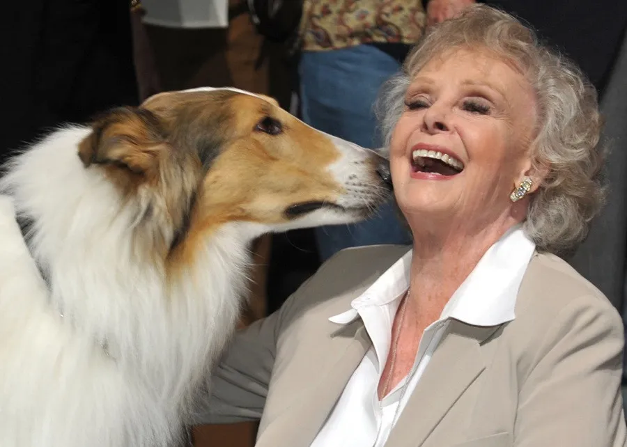 Погасла последняя звезда золотого Голливуда: в 100 лет ушла легенда Лесси и Затерянных в космосе Погасла последняя звезда золотого Голливуда: в 100 лет ушла легенда Лесси и Затерянных в космосе - today.ua