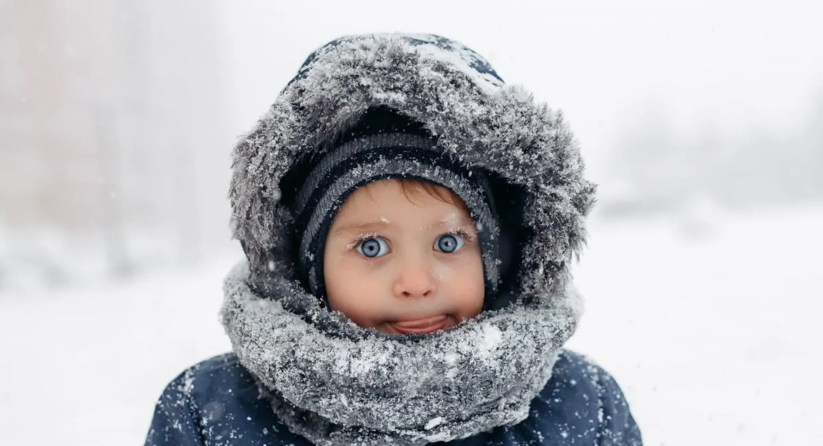 Вдарять морози й замете снігом: синоптик попередив про потужний антициклон, який суне на Україну - today.ua