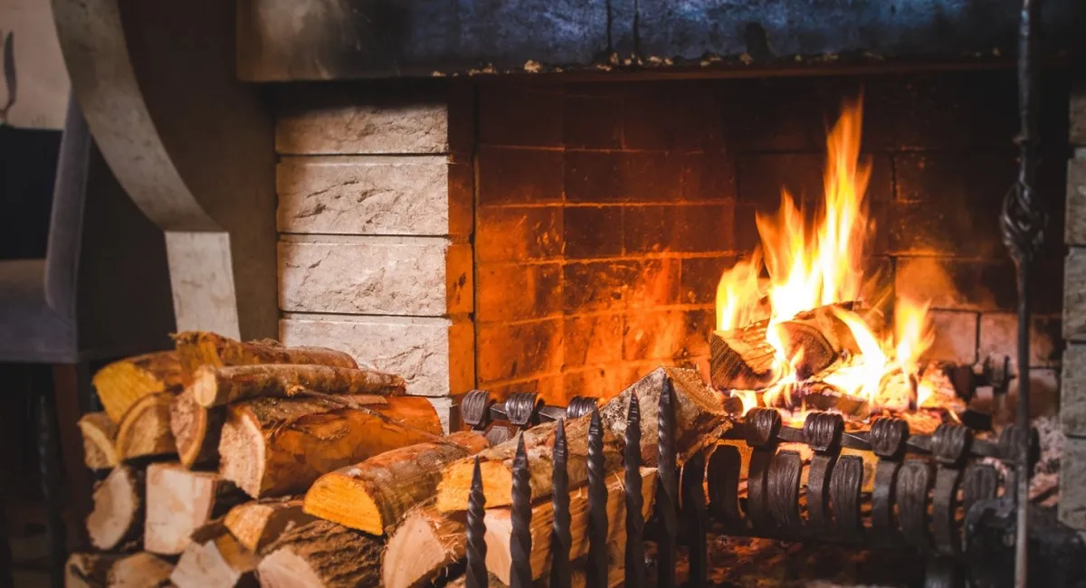 Обережно з дровами: що не варто кидати у піч, аби не зіпсувати тепло і власне здоров’я - today.ua