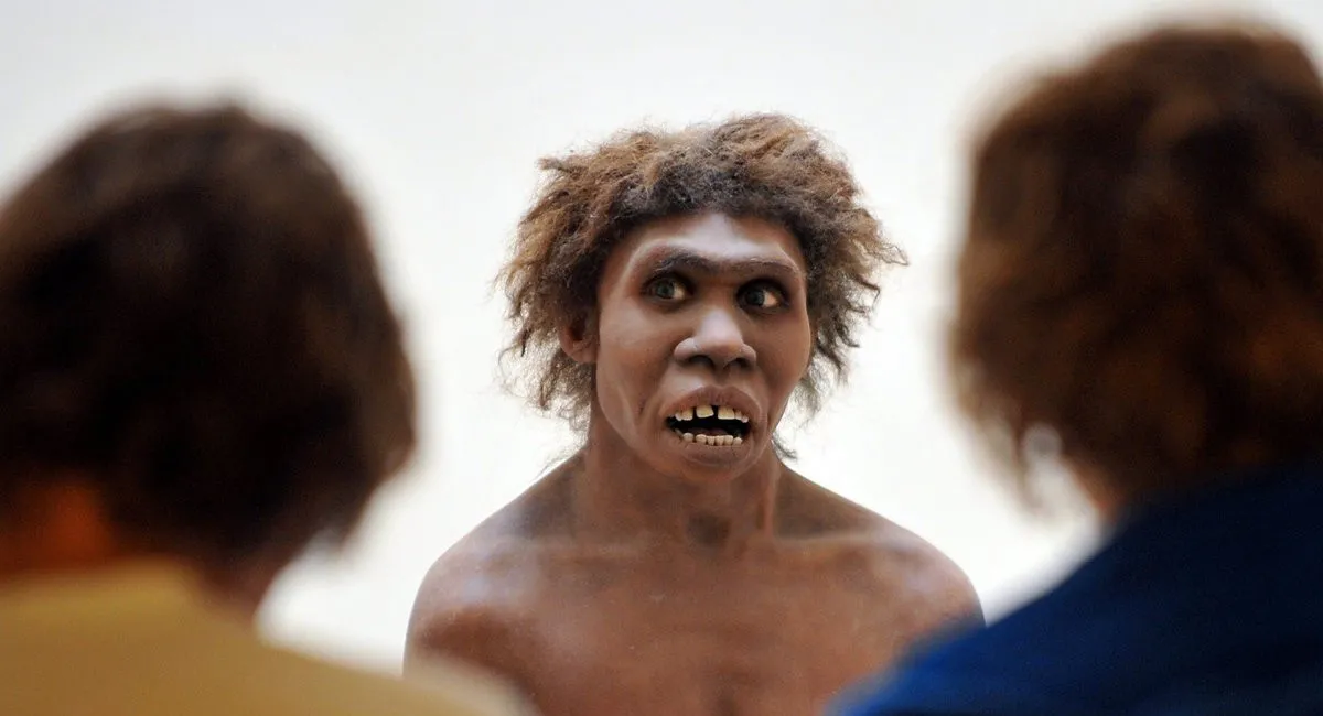 В Эфиопской пустыне нашли наполовину человека-наполовину обезьяну: что наиболее озадачило ученых - today.ua