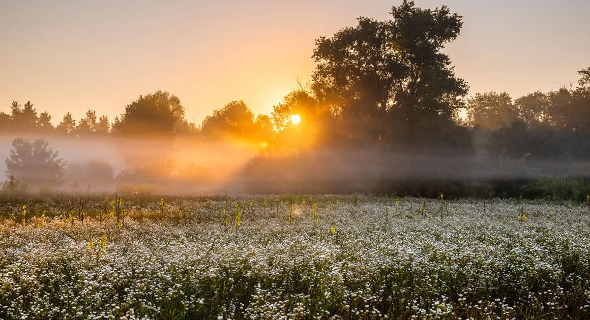 Наталка Диденко рассказала, какой погоды ожидать в Украине: феномен происходит на наших глазах - today.ua
