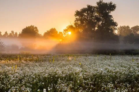 Наталка Диденко рассказала, какой погоды ожидать в Украине: феномен происходит на наших глазах