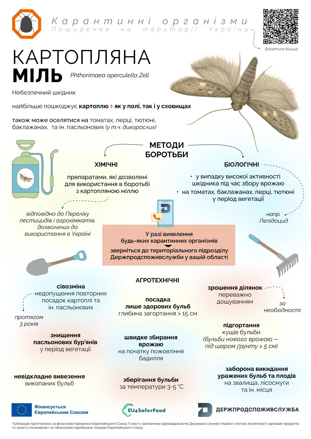 До 80% урожая под угрозой: в Украине распространяется опасный вредитель - today.ua