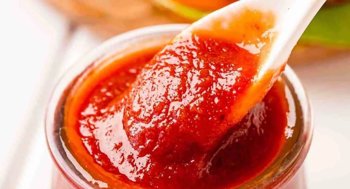 Домашний кетчуп с яблоками: пошаговый рецепт вкусного соуса на зиму - today.ua