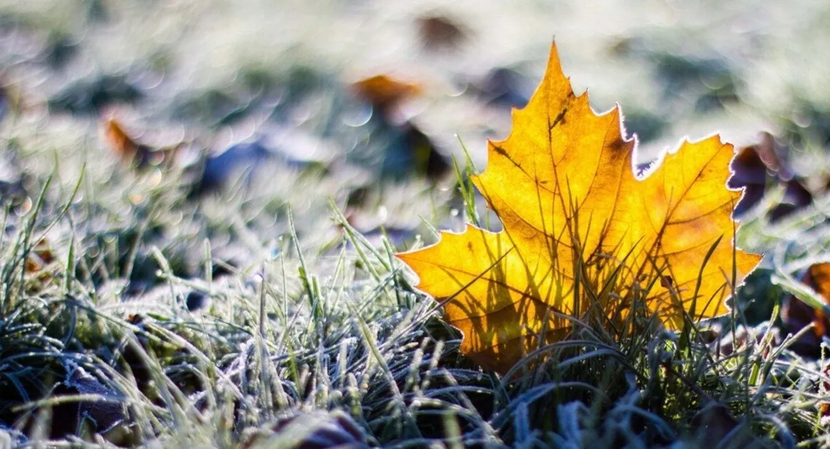 В Украину идет масштабное похолодание, которое постепенно охватит всю страну: названа дата - today.ua